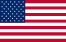 Flag of the USA